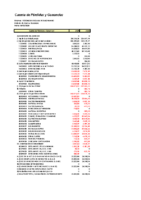 PERDIDAS Y GANANCIAS 2025